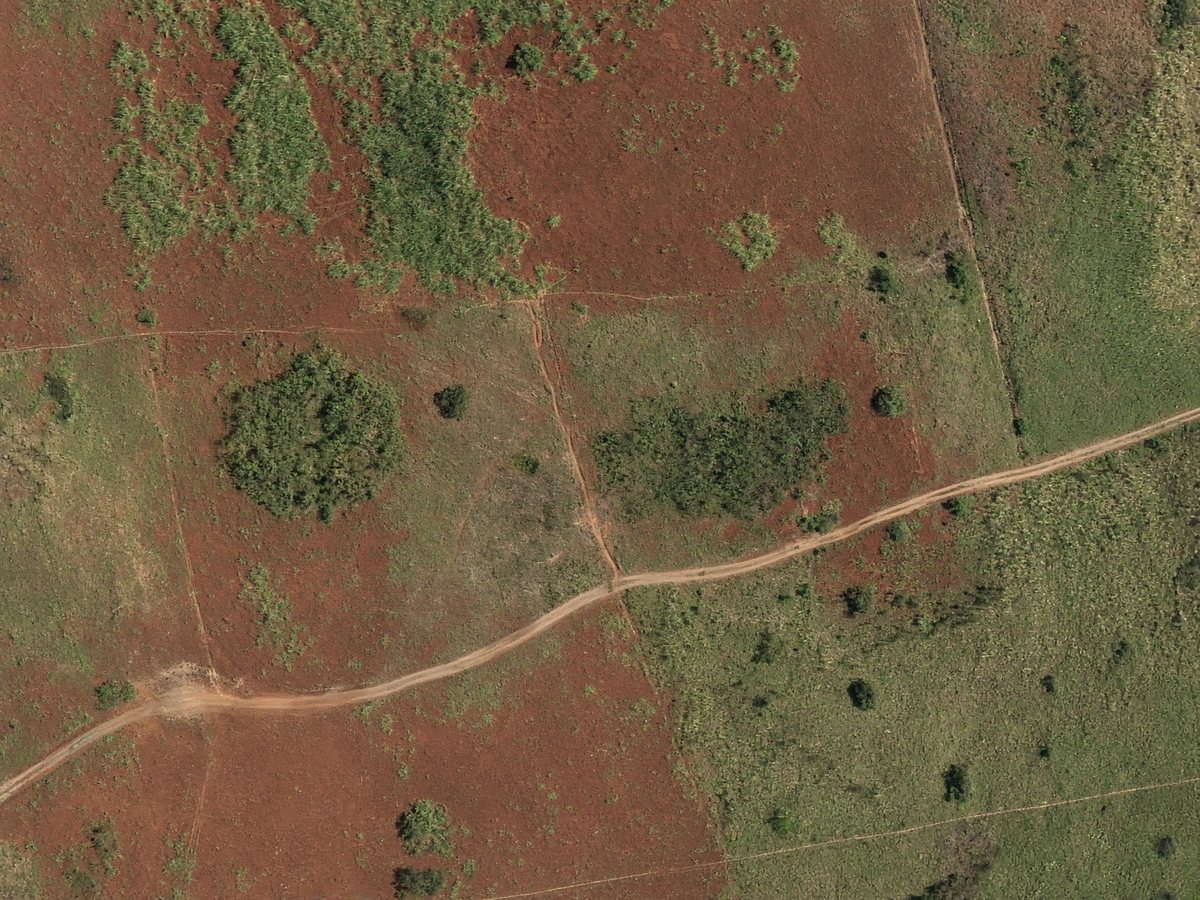 Top-down orthophoto of undeveloped land.